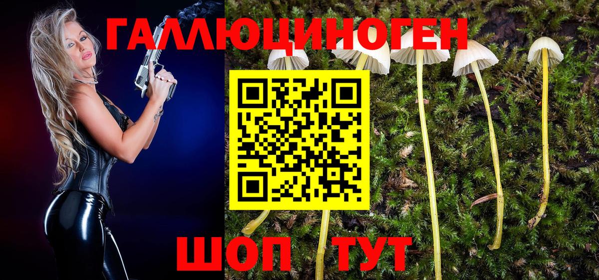 Кировск  Галлюциногенные грибы Psilocybe  Вход с VPN  Галлюциногенные грибы мухоморы 